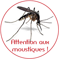 Logo Moustiques